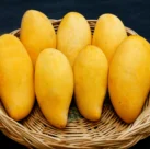 Sindhri Mango from Pakistan