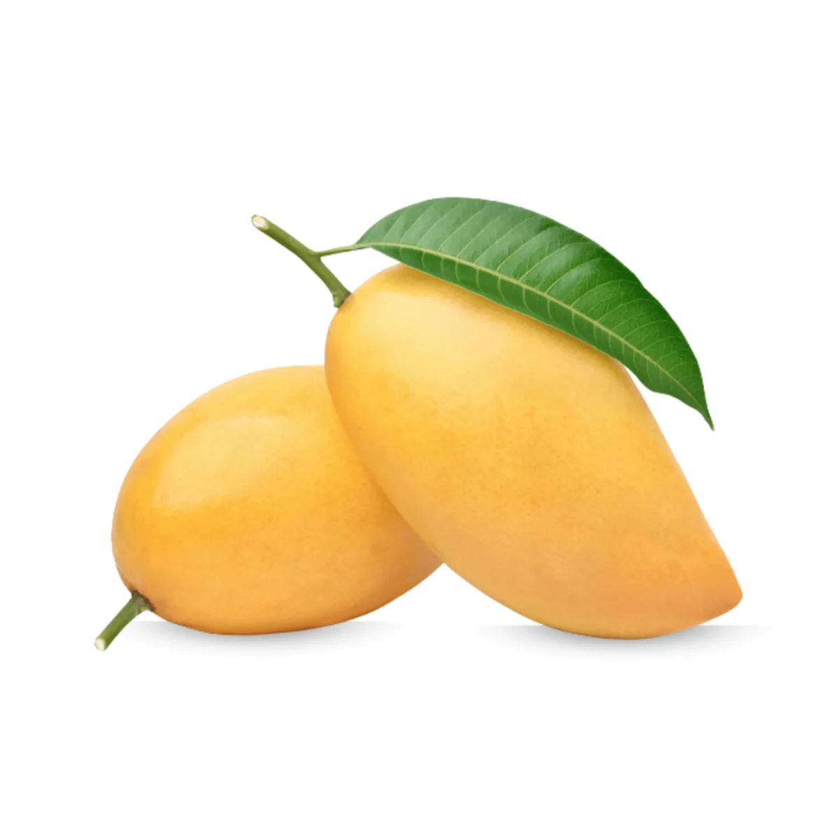 Sindhri Mango from Pakistan