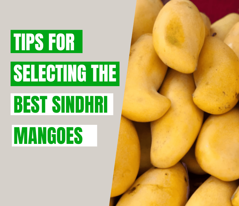 Sindhri mangoes